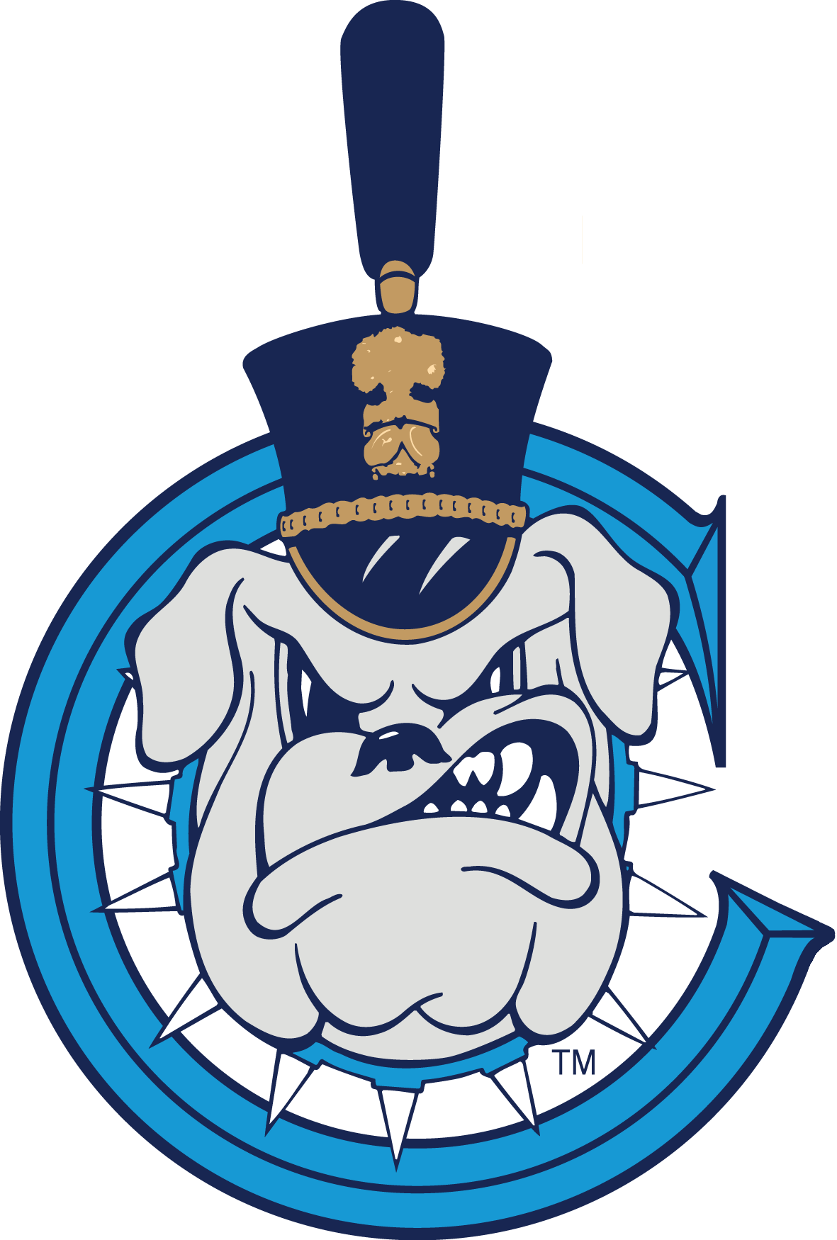 The Citadel Bulldogs decals